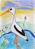 Starčoková Zuzana.jpg